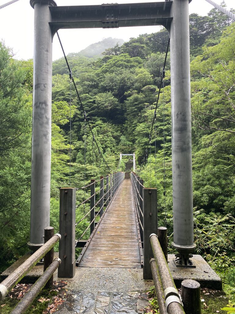 白谷雲水峡の吊り橋
